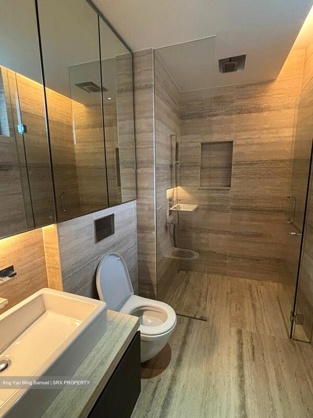 White House Residences (D10), Condominium #594825321